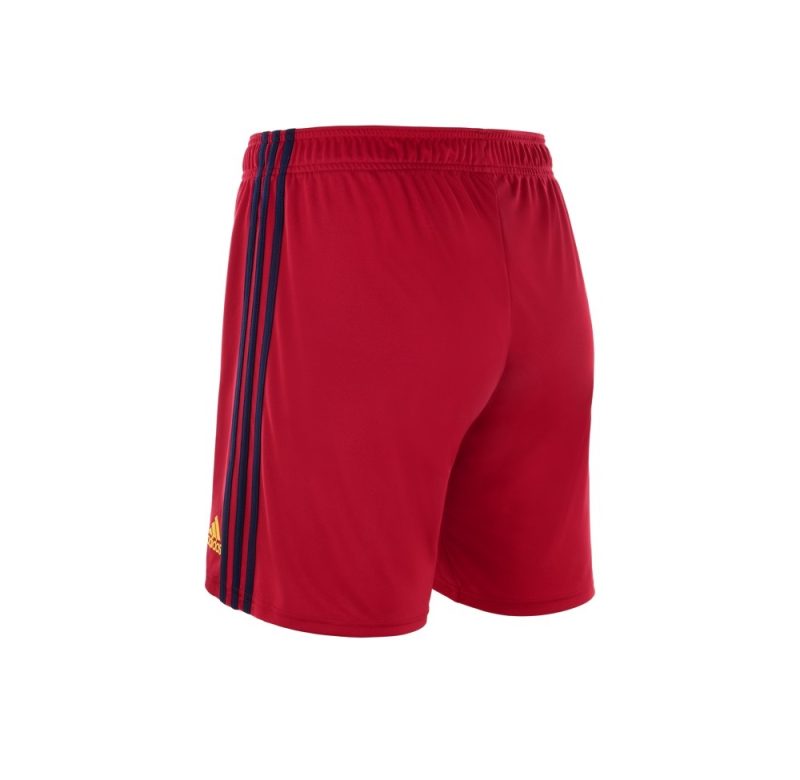Ajax Away Shorts 2022 2023 (2)