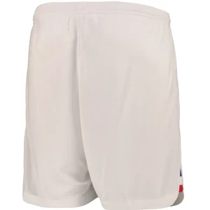 PANTALONES CORTOS DE LA SELECCIÓN LOCAL DE FRANCIA DE LA COPA DEL MUNDO 2022 (2)