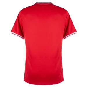 MAILLOT POLOGNE EXTERIEUR COUPE DU MONDE 2022 (2)