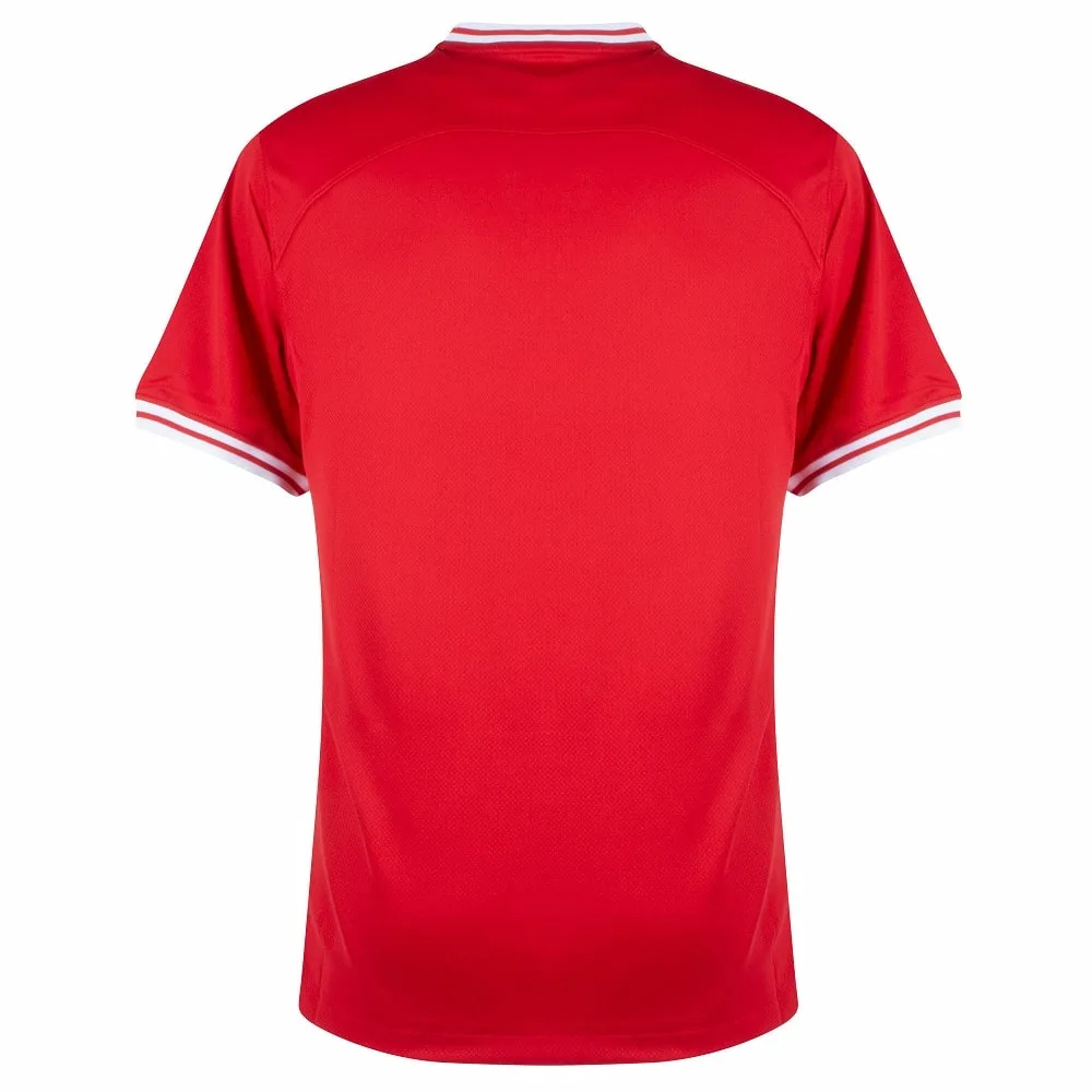 MAILLOT POLOGNE EXTERIEUR COUPE DU MONDE 2022 (2)