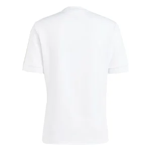 Maillot Italie 125 Ans Edition Spéciale (2)