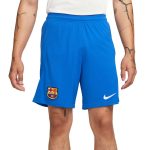 FC Barcelona Away Shorts 2023 2024 (1)