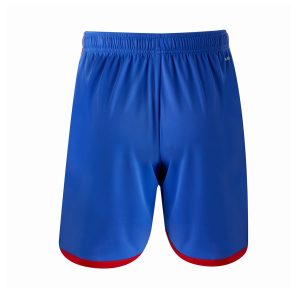 OL Away Shorts 2023 2024 (2)