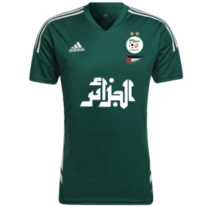 Camiseta Argelia Palestina 2023 Verde