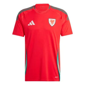 Wales Heimtrikot 2024 2025