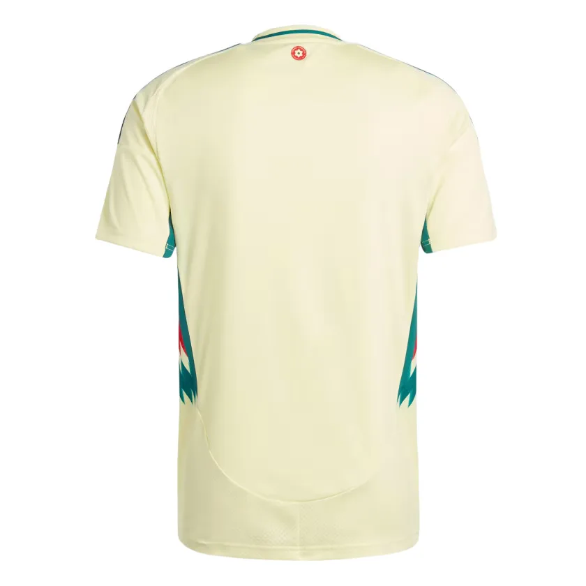 Maillot-Pays-de-Galles-Exterieur-Euro-2024-2.jpg