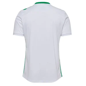 Camiseta AS Saint Etienne Segunda 2024 2025 (2)
