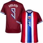 Maillot Norvège Domicile 2024 2025 Haaland