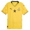 Maillot Mali Spécial Edition Version Joueur Vert 2025/2026