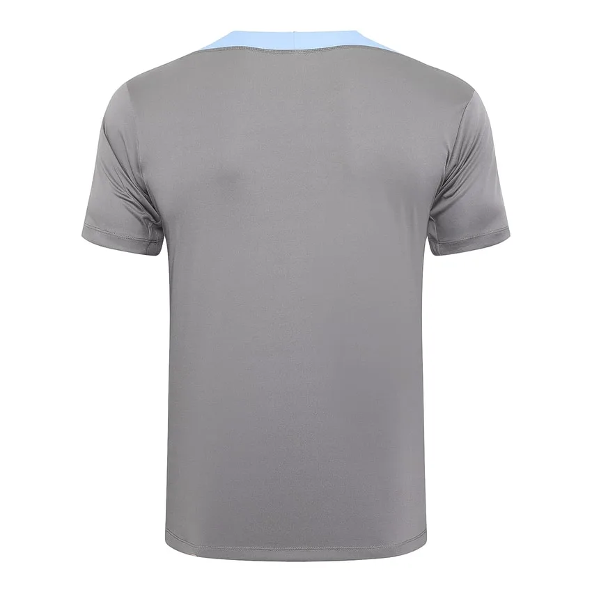 Tottenham 2024 2025 Grey Short Shirt Set