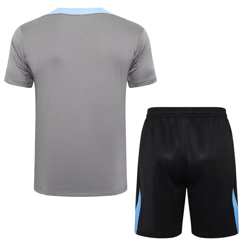 Tottenham 2024 2025 Grey Short Shirt Set