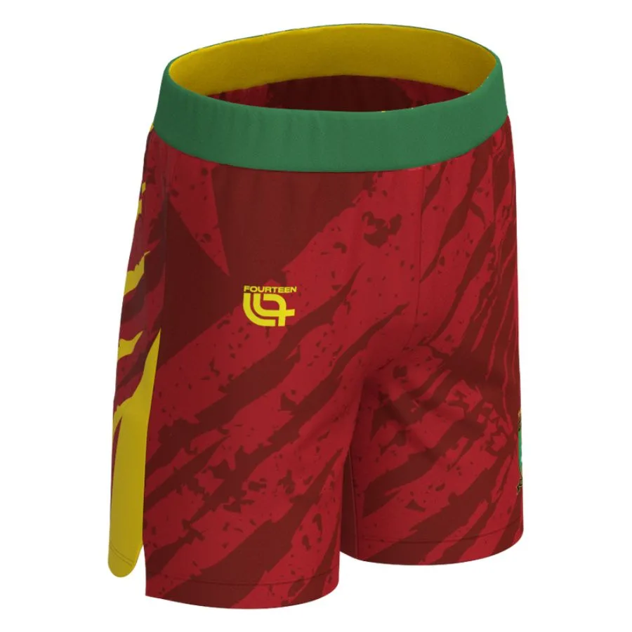 Maillot Kit Enfant Cameroun Domicile 2025 2026