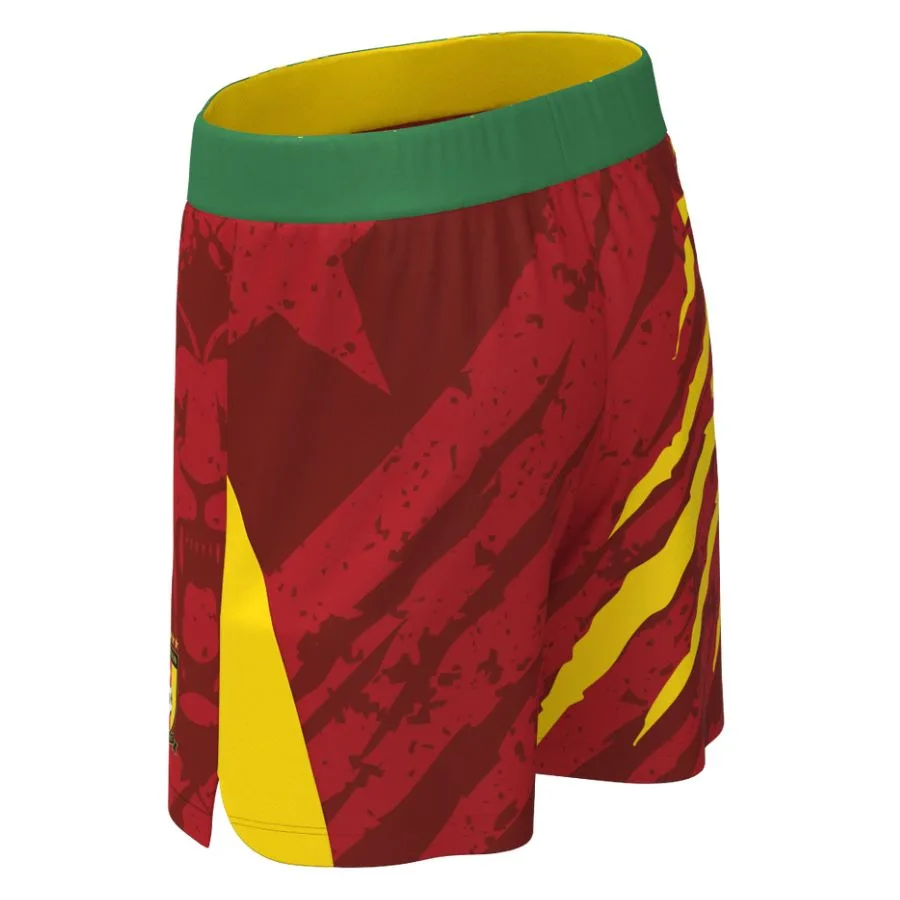Maillot Kit Enfant Cameroun Domicile 2025 2026