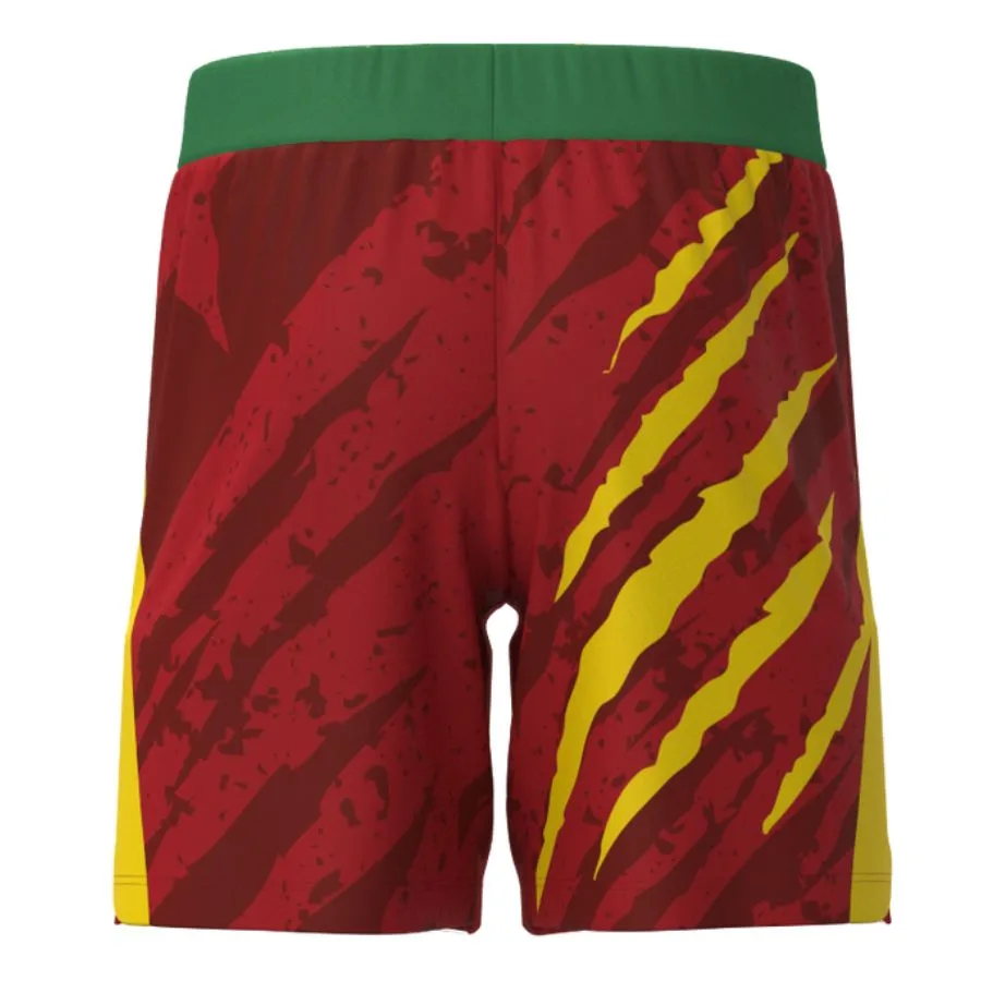 Maillot Kit Enfant Cameroun Domicile 2025 2026