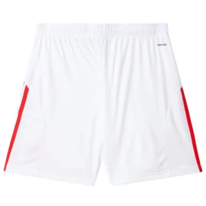 بنفيكا هوم شورت 2025 2026