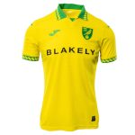 Maillot Norwich City Domicile 2025 2026 (1)