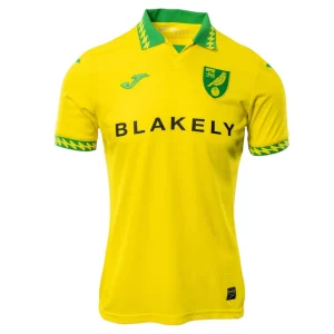 Norwich City Heimtrikot 2025 2026 (1)