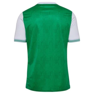 Camiseta Saint Etienne Primera 2025 2026 (2)