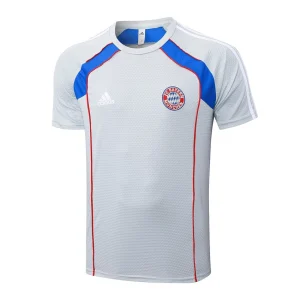 Ensemble Maillot Short Bayern Munich 2025 2026 Gris