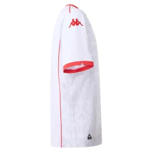 Tunisia Away Jersey 2025 2026 (3)
