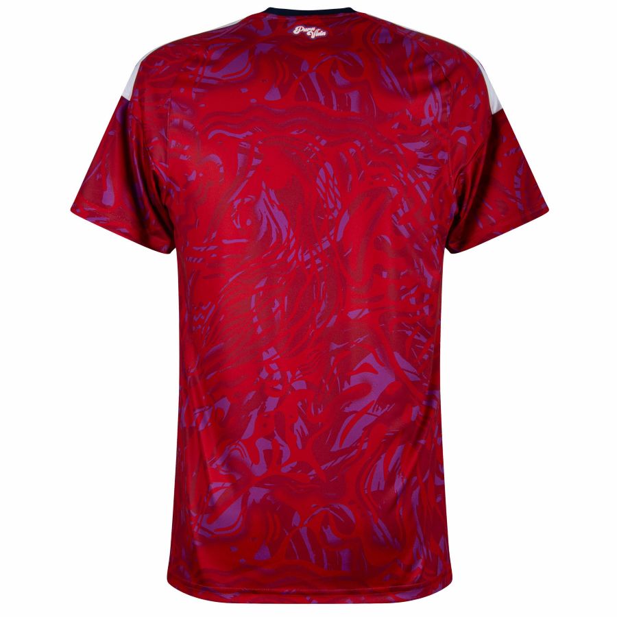 Maillot Costa Rica Domicile 2026 2027 (2)