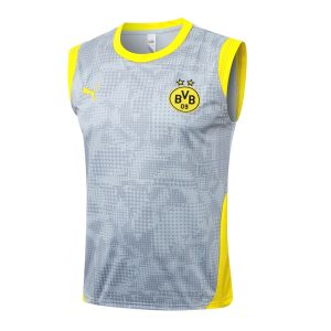 Debardeur Short Dortmund 2025 2026 Gris
