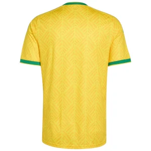 Maillot Afrique du Sud Domicile 2026 2027 (2)