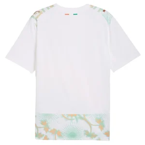 Maillot Cote d'Ivoire Exterieur 2026 2027 (2)