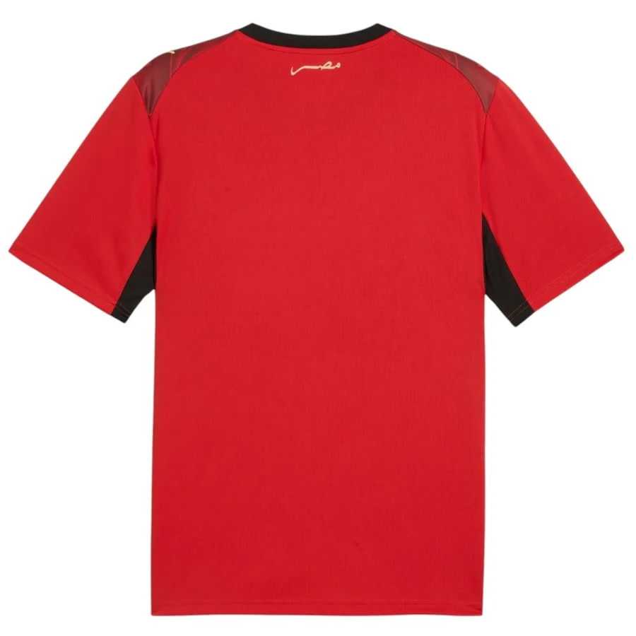 Maillot Egypte Domicile 2026 2027 (4)