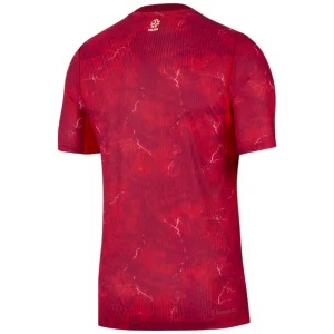 Maillot Pologne Exterieur 2026 2027 (2)