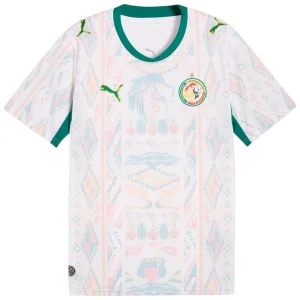 Maillot Senegal Domicile 2026 2027 (1)