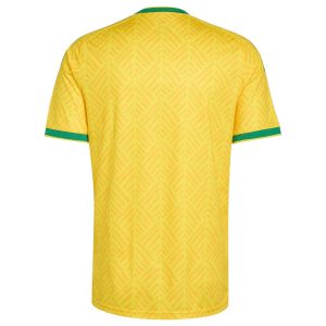 Maillot Afrique du Sud Domicile 2026 2027 Femme (2)