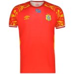 Maillot Congo Third 2025 2026 (1)