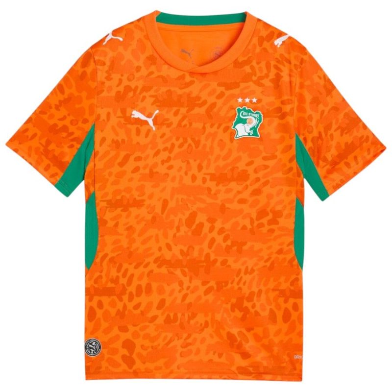 Maillot Cote d'Ivoire Domicile 2026 2027 Enfant (1)