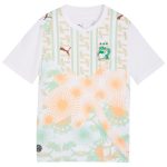 Maillot Cote d'Ivoire Exterieur 2026 2027 Enfant (1)