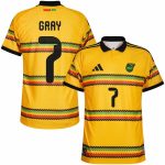 Maillot Jamaique Domicile 2026 2027 Gray