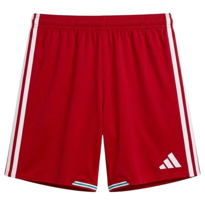 Maillot Kit Enfant Pays de Galles Domicile 2026 2027 (3) Maillot Kit Enfant Pays de Galles Domicile 2026 2027 (3)