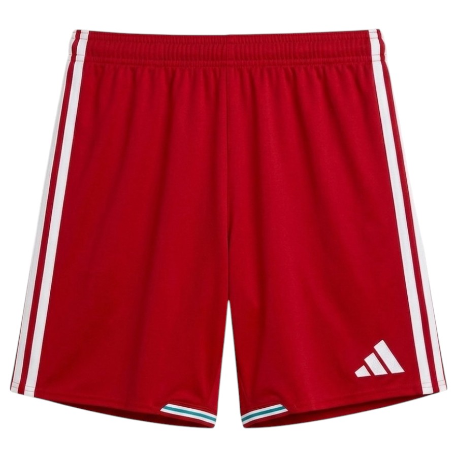 Maillot Kit Enfant Pays de Galles Domicile 2026 2027 (3)