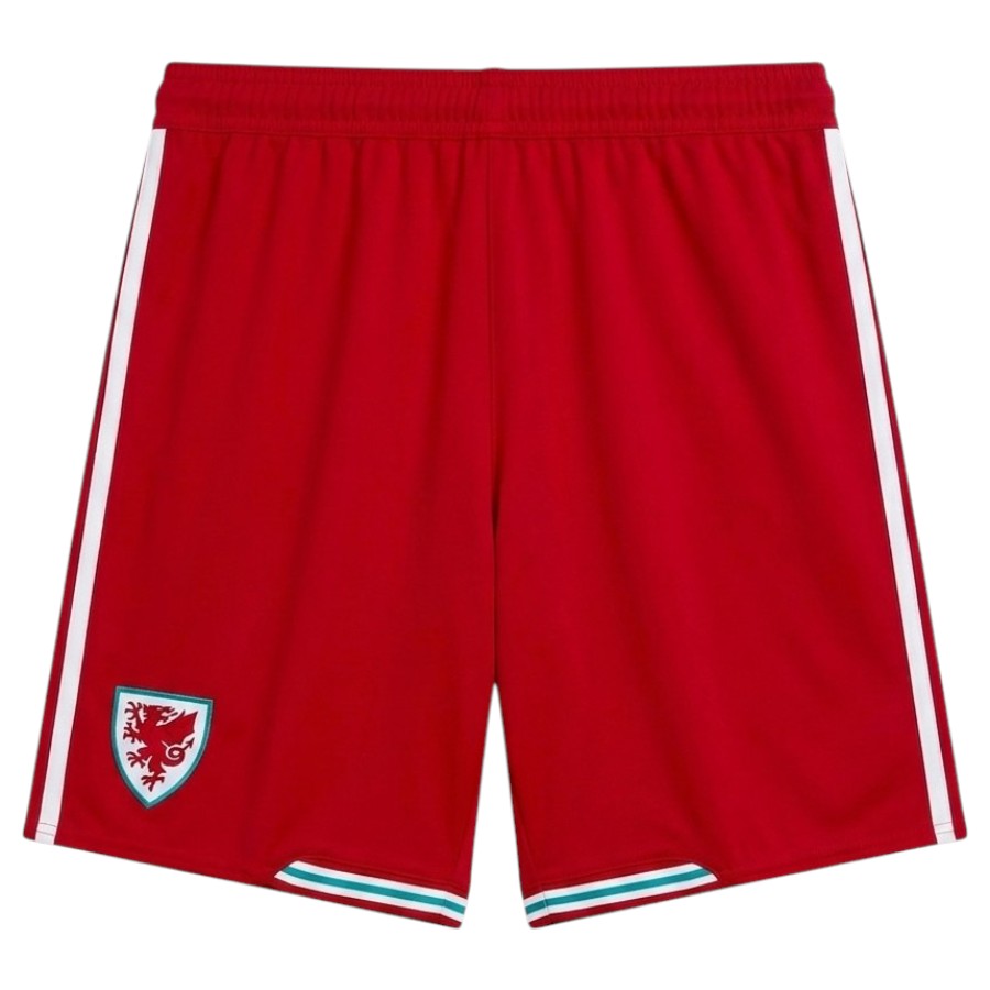 Maillot Kit Enfant Pays de Galles Domicile 2026 2027 (4)