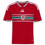 Maillot Pays de Galles Enfant Domicile 2026 2027 (1)