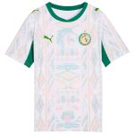 Maillot Senegal Domicile 2026 2027 Enfant (1)