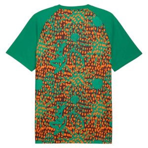 Maillot Cote d'Ivoire Pre-Match 2026 2027 (2)