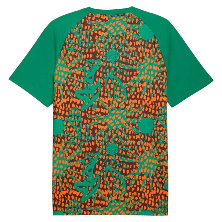 Maillot Cote d'Ivoire Pre-Match 2026 2027 (2)