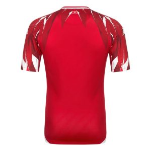Maillot Tunisie Exterieur 2026 2027 (2)