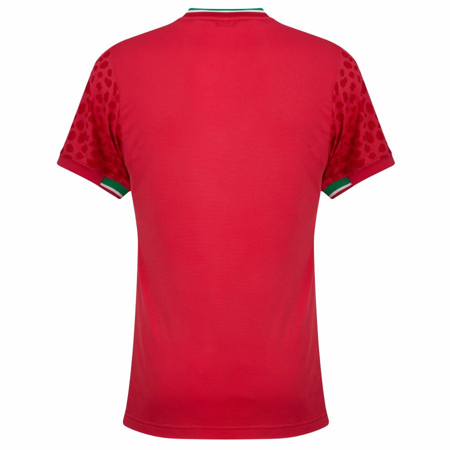Maillot Iran Exterieur 2026 2027 (2)