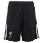 Short Liverpool Third 2026 2027 (1)