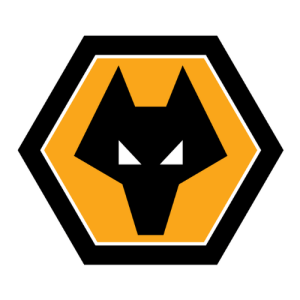 ولفرهامبتون-جيرسي-2024-2025-300x300